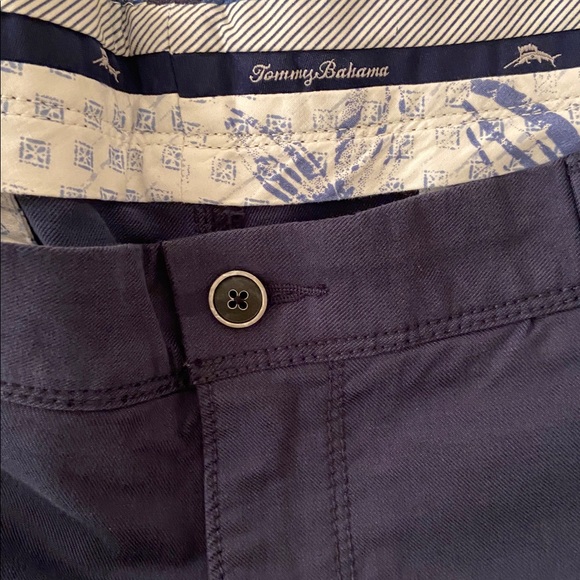 Tommy Bahama Ashore Thing Men’s Shorts Size 44 - Picture 2 of 7